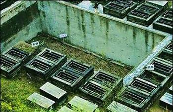 恐怖的屈肢葬！破解中国最大的古墓之谜